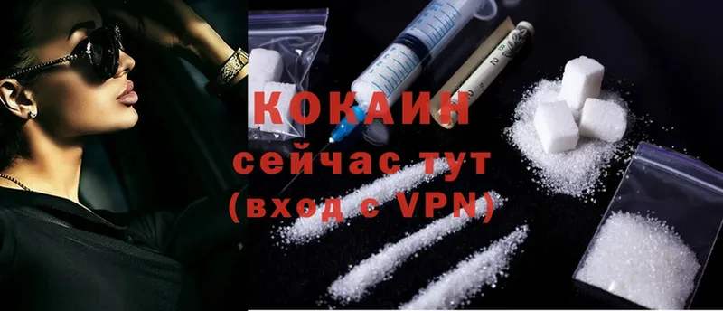 купить  цена  Корсаков  COCAIN VHQ 